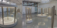 Museo en la Facultad de Salud: obras al 90 % para un aprendizaje sin precedentes